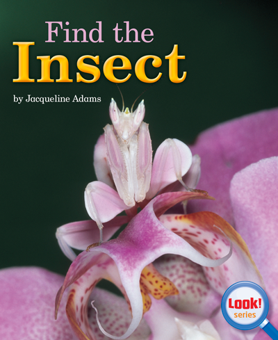 Find the Insect