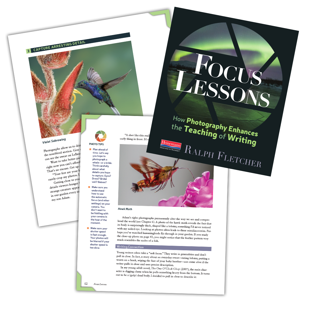 Focus Lessons Craft Lesson